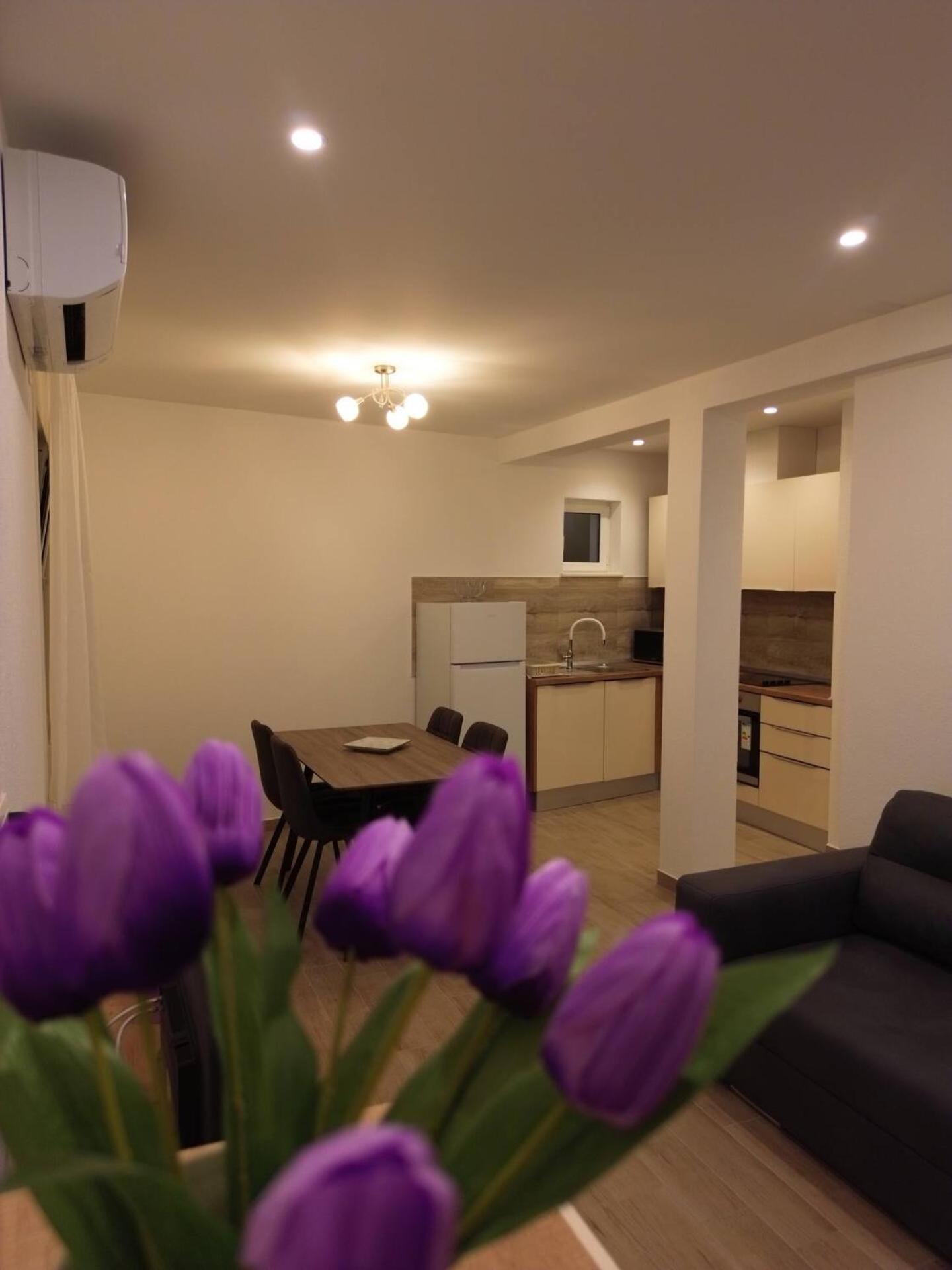Novi Skrape U Samom Centru S Parkingom Apartment *